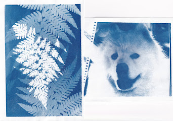Cyanotype