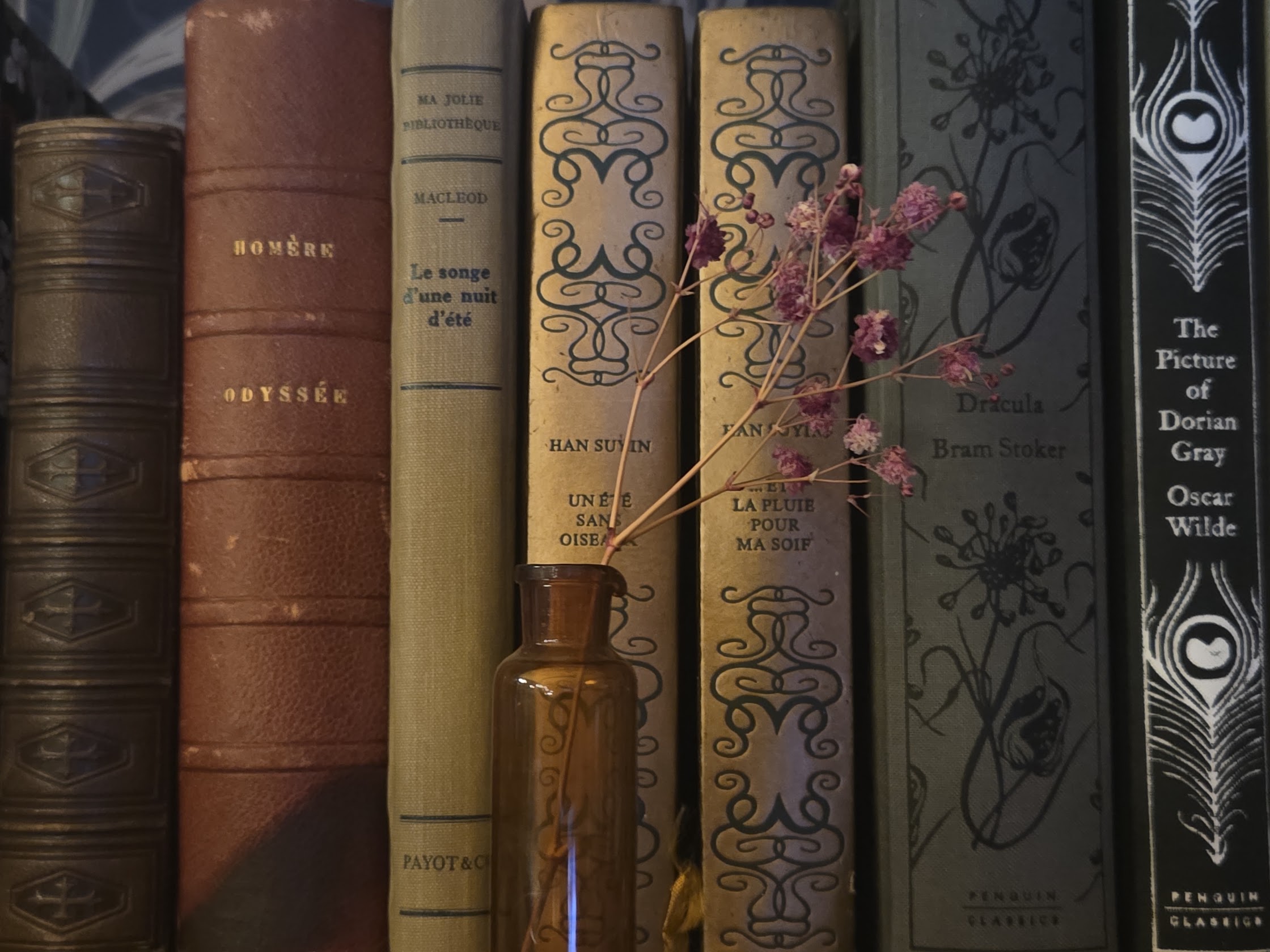 Club de lecture – Le Refuge des lecteurs